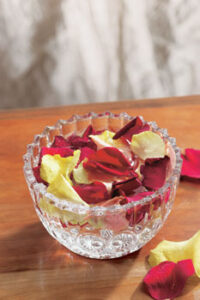 Focusing on Flower Essences Image